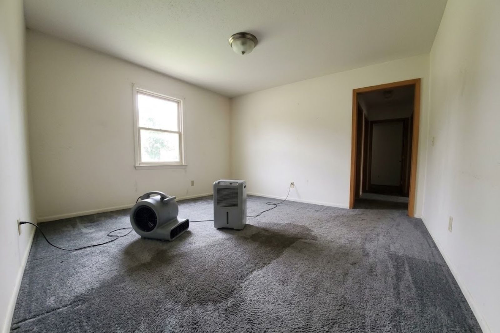 Water Damage Restoration in Walnut, CA